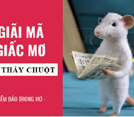 Con chuột số mấy trong soi cầu XSMB