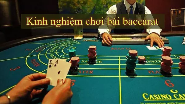 Hướng dẫn chơi Baccarat hay nhất tại typhu88