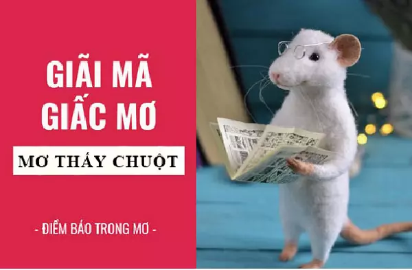 Con chuột số mấy trong soi cầu XSMB