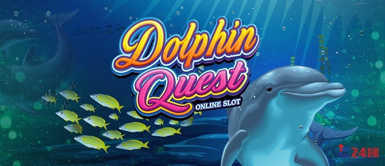 Game DOLPHIN QUEST: Slot chủ đề biển cả đẹp như tranh