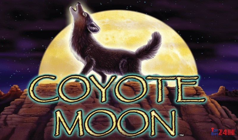 Game COYOTE MOON: Game slot có đồ họa xuất sắc từ IGT