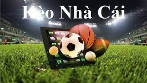 Livescore kèo nhà cái là gì? Đặc điểm nổi bật của livescore