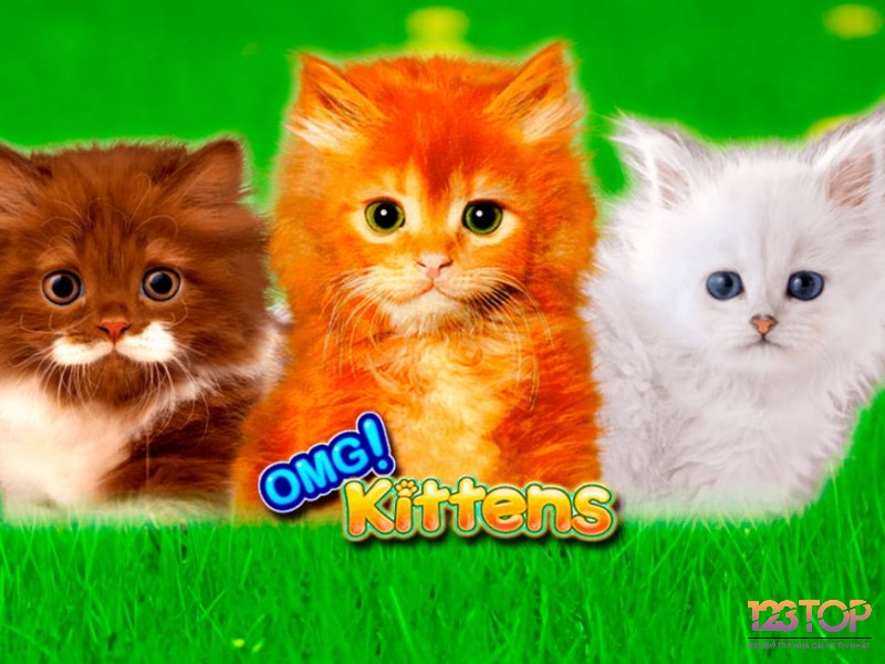 OMG Kittens là một trong những trò chơi slot chủ đề về mèo